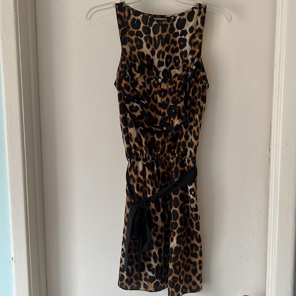 Express leopard print dress
